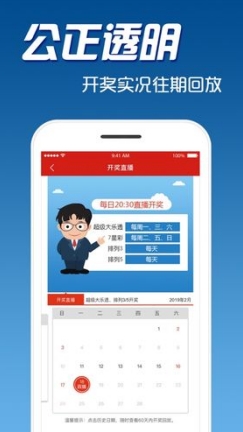 澳门六开奖结果资料查询，揭秘数字背后的奥秘与乐趣所在！