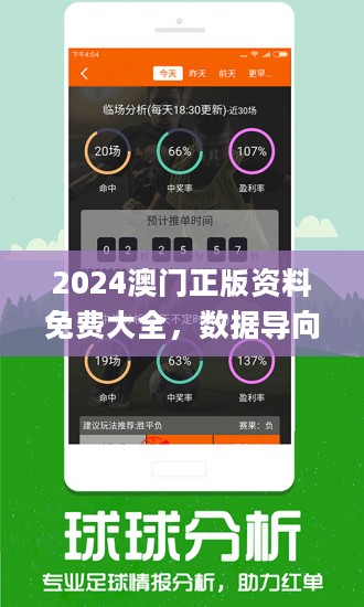 澳门正版资料免费大全2035年——全面解析与实用指南