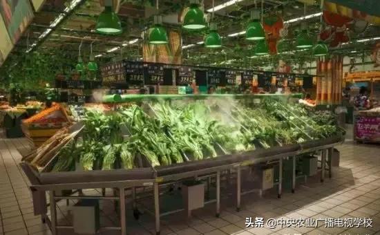 黄金涨幅趋势的深度解析