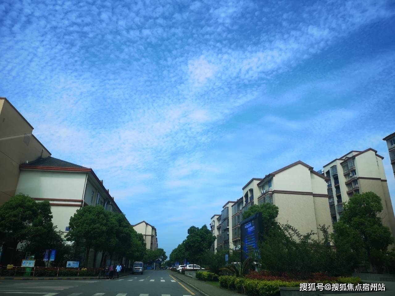 粤鹏金贵金属行情深度解析