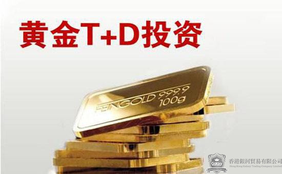 纸黄金官网首页，投资者的首选平台与工具分析报告