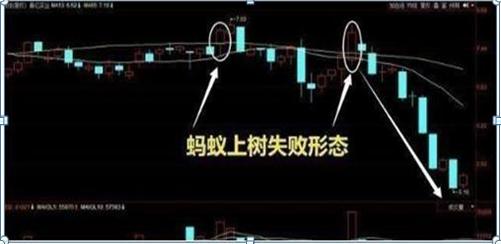 石油行情最新走势分析，市场动态与未来趋势探讨