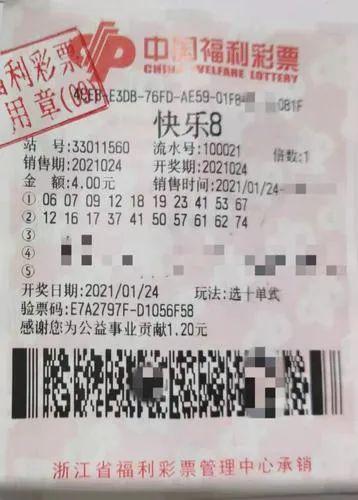 中国彩票开奖直播，透明、公正与梦想的交汇点分析报告及观察随笔