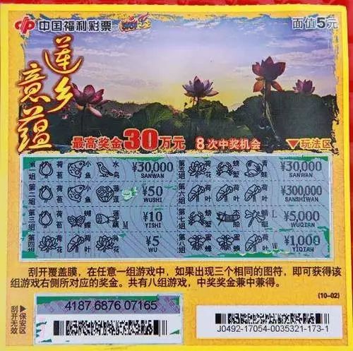 中国彩吧旧版与新版的探索之旅，传承与创新共存之妙境分析记事文章标题待定（如新版崛起，回顾经典——论‘中国’彩票的蜕变）