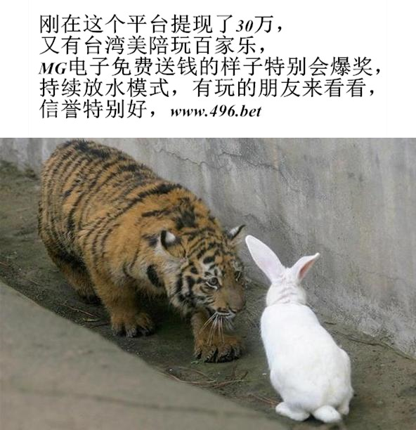 甘肃快三今日揭秘与解读，最新动态及分析报告一览无余！