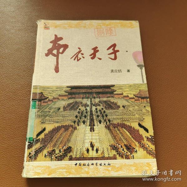 布衣天子小说——一部历史与传奇的交织