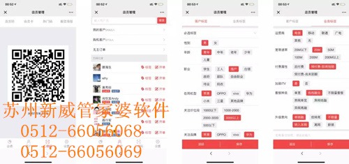 香港管家婆精准选一肖的奥秘与探索，揭秘概率背后的智慧之举
