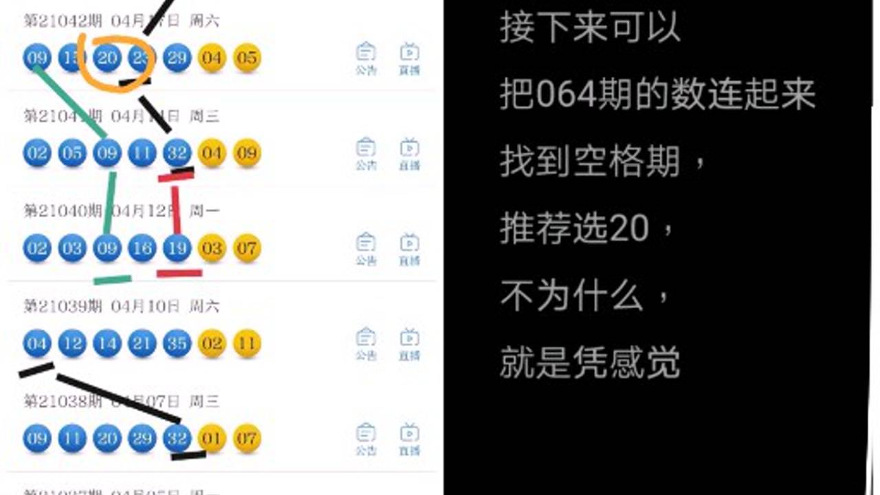 大乐透走势图专业版解析