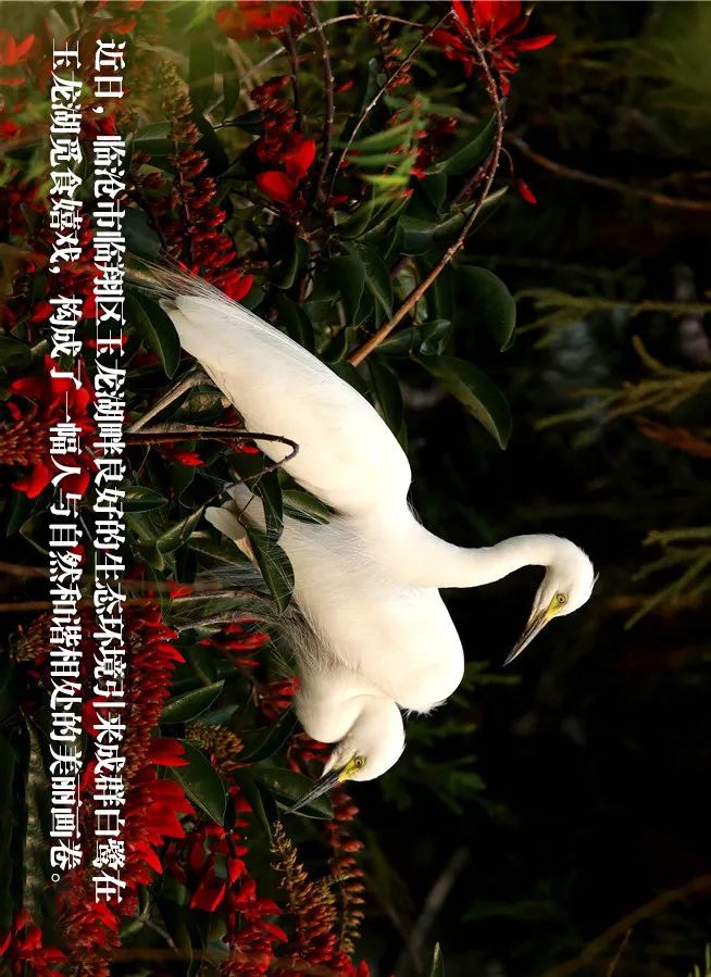 学校新闻 第241页