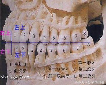 排列5的玩法解析，如何轻松掌握数字游戏的规则与技巧？——从新手到高手进阶指南！