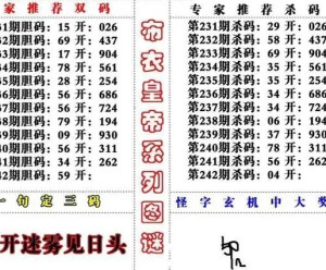 职业选择 第239页