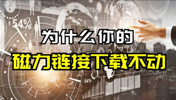 双色之谜——探索2035的奥秘