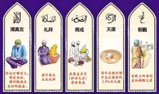 学校新闻 第226页