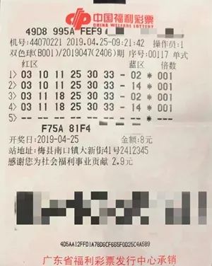 双色球2019年3月某日开奖结果揭晓，幸运大奖等你来拿！—— 一次彩票的奇妙之旅分析报告