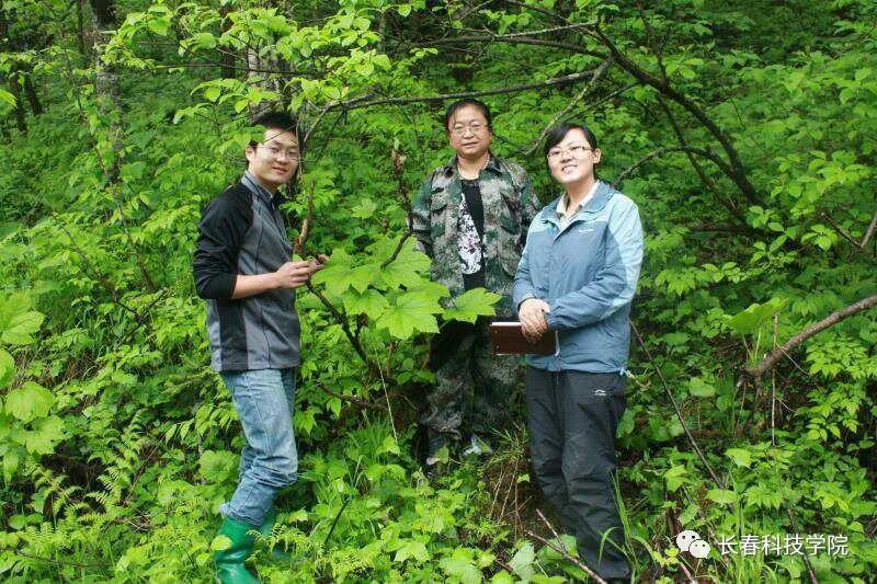 吉林省福利彩票发行管理中心，公益之路的坚实支柱