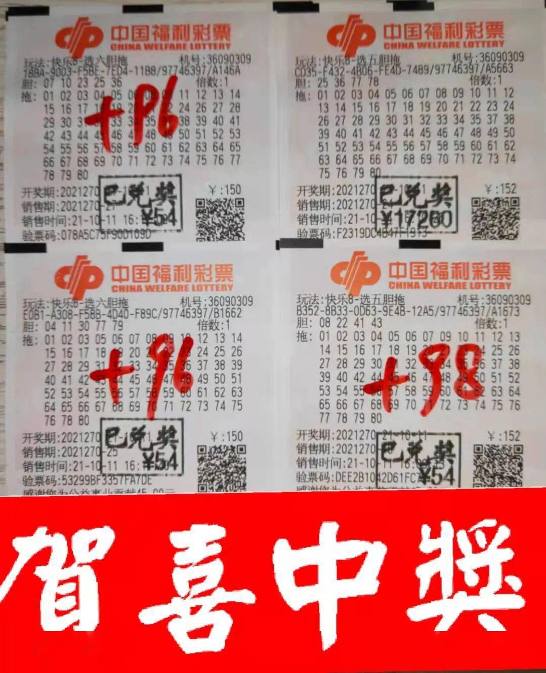 今日揭秘，解读今天的3D布衣彩吧