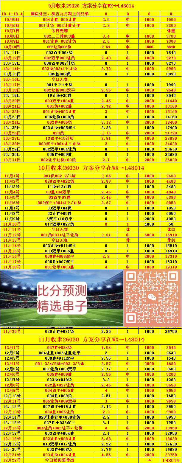 明天葡超比分预测——深度解析与前瞻