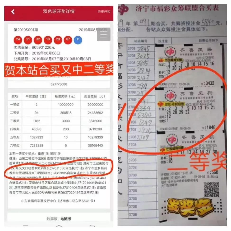 山东福利彩票双色球玩法指南，轻松掌握，乐趣无限！