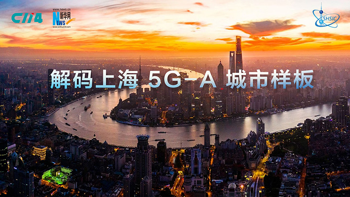 上海号码网——连接城市脉搏的数字纽带