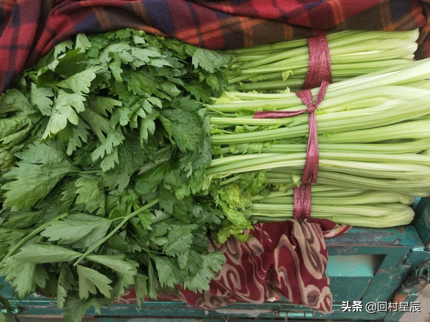 河北20选5走势图解析与技巧探讨，如何看懂图表，掌握投注策略？——以数据为视角的深度解读分析篇（附详细操作指南）