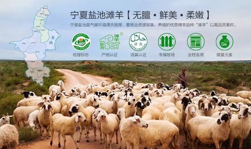 河北快三开奖结果揭秘，伽君与羊的奇妙故事