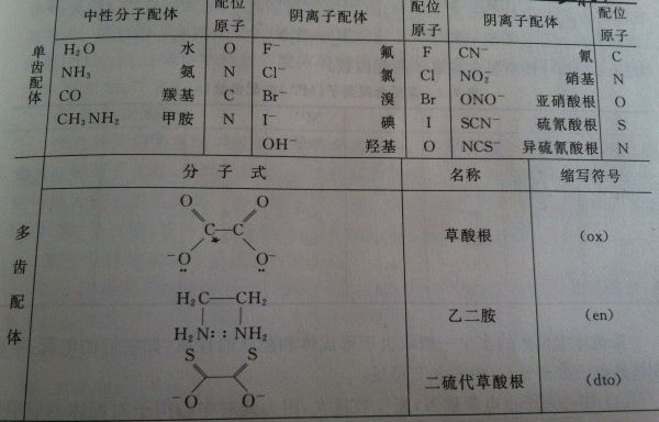 一倍体与单备体的区别解析