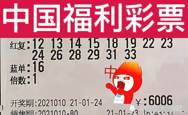 2031期快乐双彩开奖结果揭晓，惊喜与期待交织的时刻！—— 一次幸运之旅的观察报告及分析解读