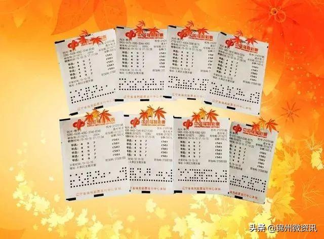 体彩3D中两个号码的奖金是多少？