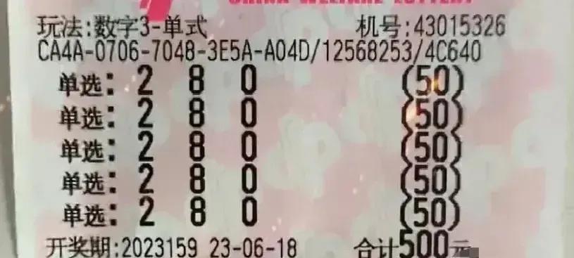 体彩3D开奖信息查询，轻松掌握最新中奖金额与号码走势的秘诀！
