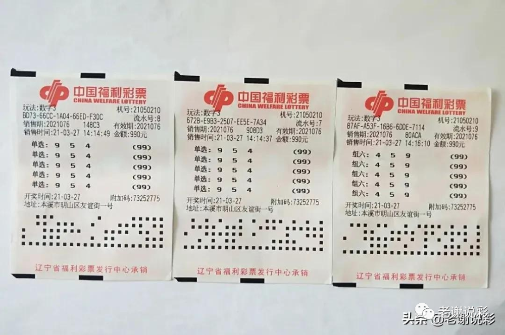 中国福利彩票双色球号码查询，揭秘数字背后的幸运之选与期待之旅