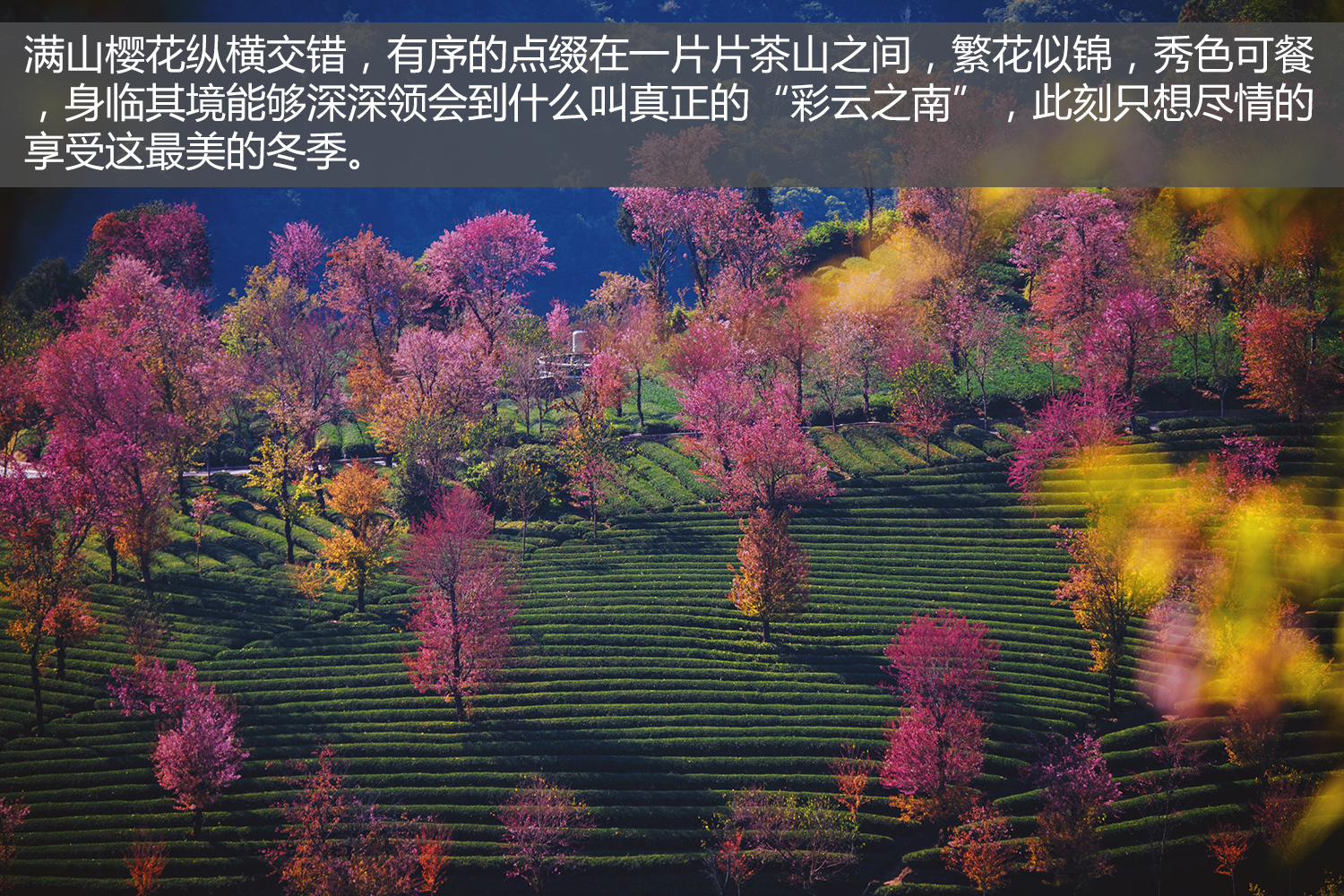 第一版彩吧图库，探索与发现之旅的起点站