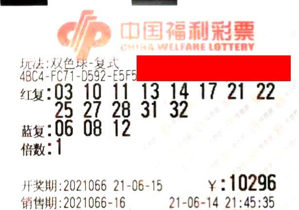 2019年双色球开奖揭秘，第4期与未来展望——以XXXX为例的数字魅力分析（含详细解析）
