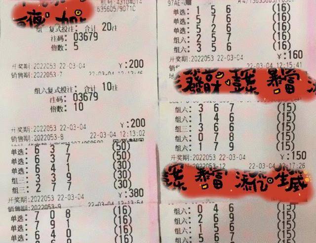 20年一梦，揭秘福利彩票中奖号码背后的故事