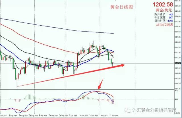黑龙江福彩P62号码走势图解析与探讨未来趋势的奥秘之旅