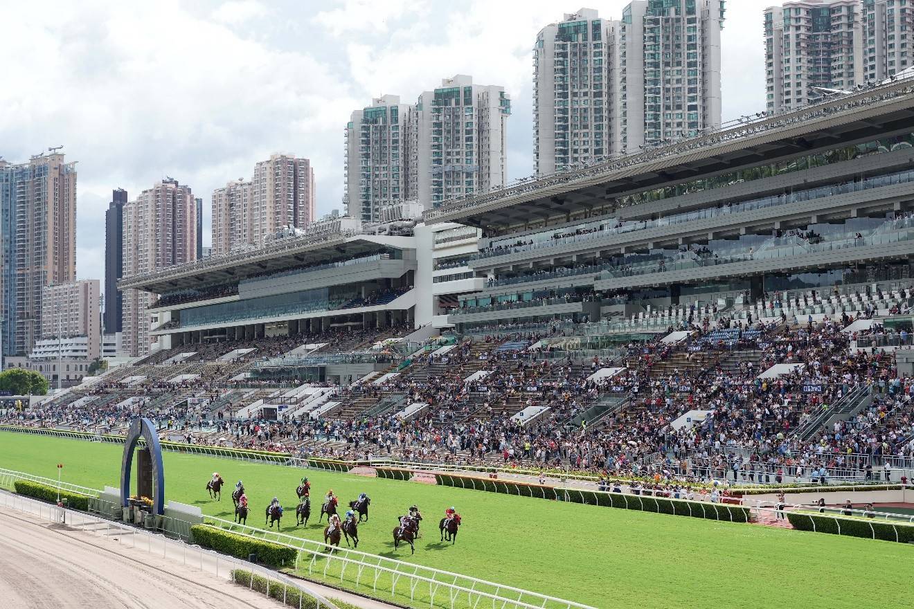 香港马会内部免费资料