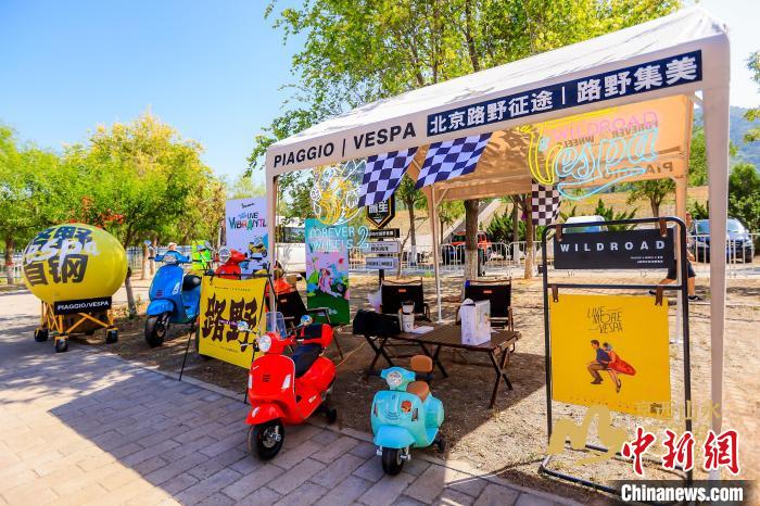 香港免费六台彩图库，探索与体验的魅力之旅香港免费六台彩图库特色王中王资料