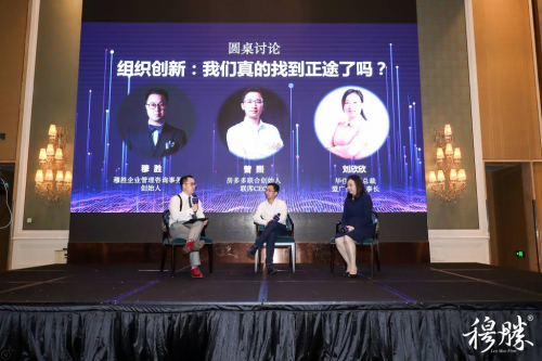 神鹰报码聊天室，数字时代的交流新篇章906666神鹰高手论坛