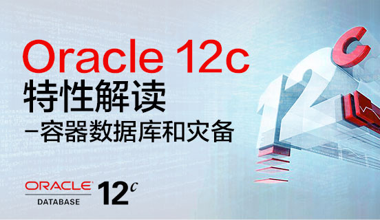 澳门20-4正版资料大全，探索与解读的旅程（完整版）揭秘澳门的文化、历史与发展趋势分析报告澳门2024正版资料大全完整版,寒冬腊月