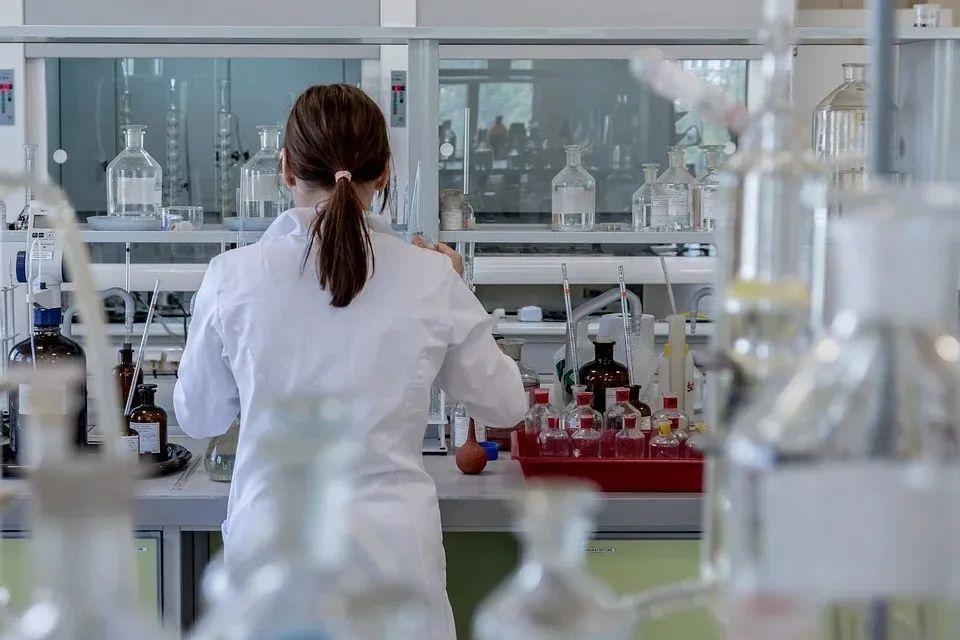 澳门天天彩开奖结果资料查询的便捷与实用指南澳门天天彩开奖结果资料查询2024年