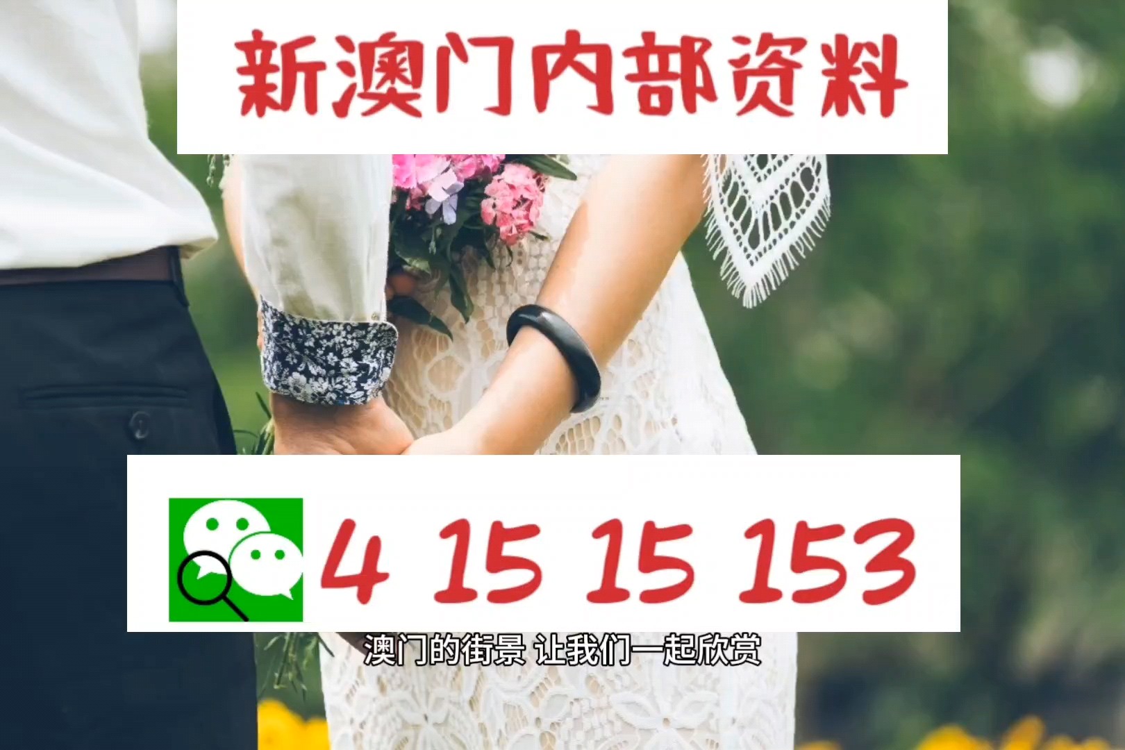 管家婆的资料一肖中特，揭秘与解析之道管家婆1肖中特