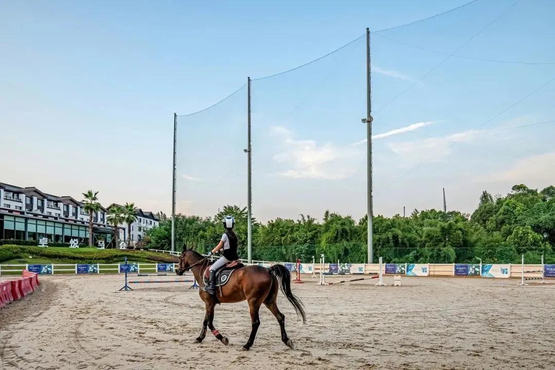 2019正版马会资料大全，全面解析与实用指南2021马会资料精选免费大全