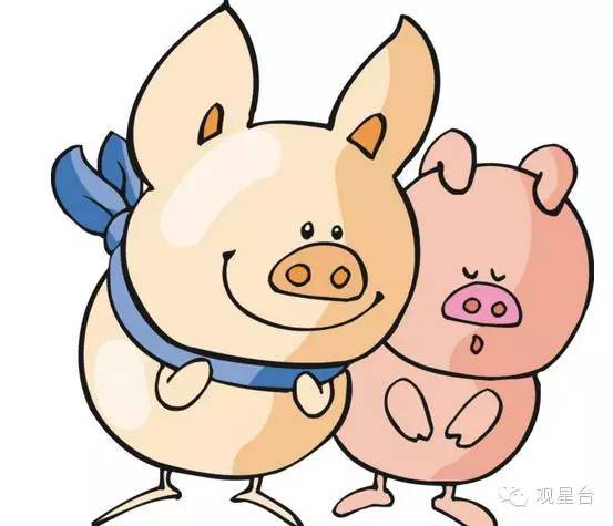 一场视觉冲击力极强的感官之旅香港开奖现场直播结果 开奖记录开