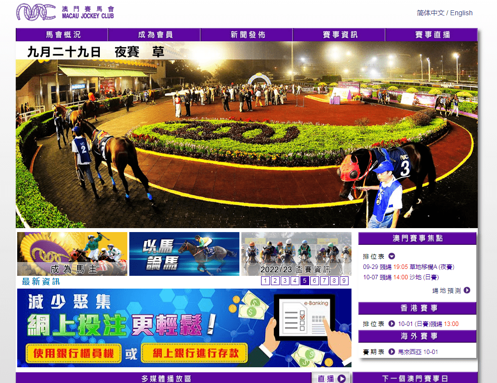 203年澳门马会传真揭秘与解析，赛马的魅力、预测及未来趋势分析报告2023年澳门马会传真精准资料