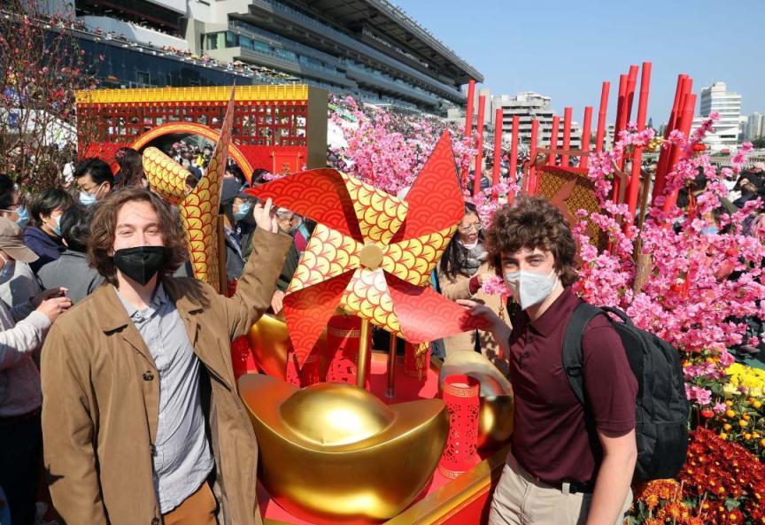 香港马会资料大全2018，赛驹风采、赛事概览与会员福利全解析