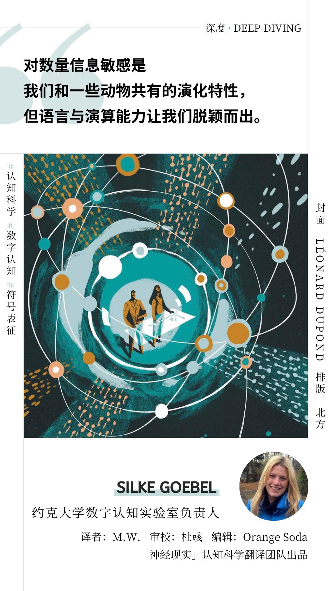 探索神秘数字629与四不像图之谜，一场视觉的盛宴和数学的奇迹之旅！