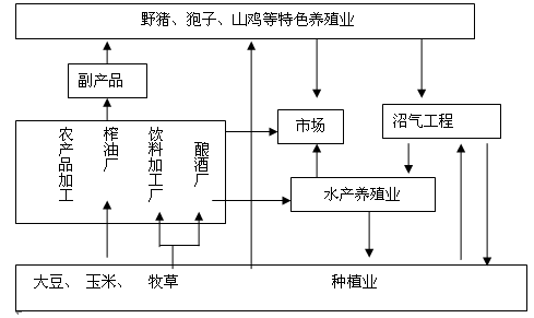 精准一肖100%准确精准的含义和特点分析