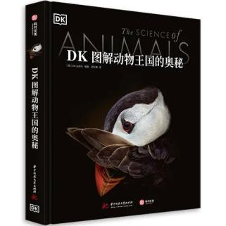 四不像图片921的神秘魅力
探索与解读背后的故事和意义。以下为正文）strong>一、引言—神秘的不似之谜，探寻像什么？的问题答案！四不像图片今晚香港