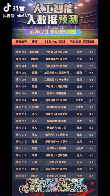 揭秘澳门的每日精彩—官方彩票资料的深度解读澳门天天彩正版资料查询今天