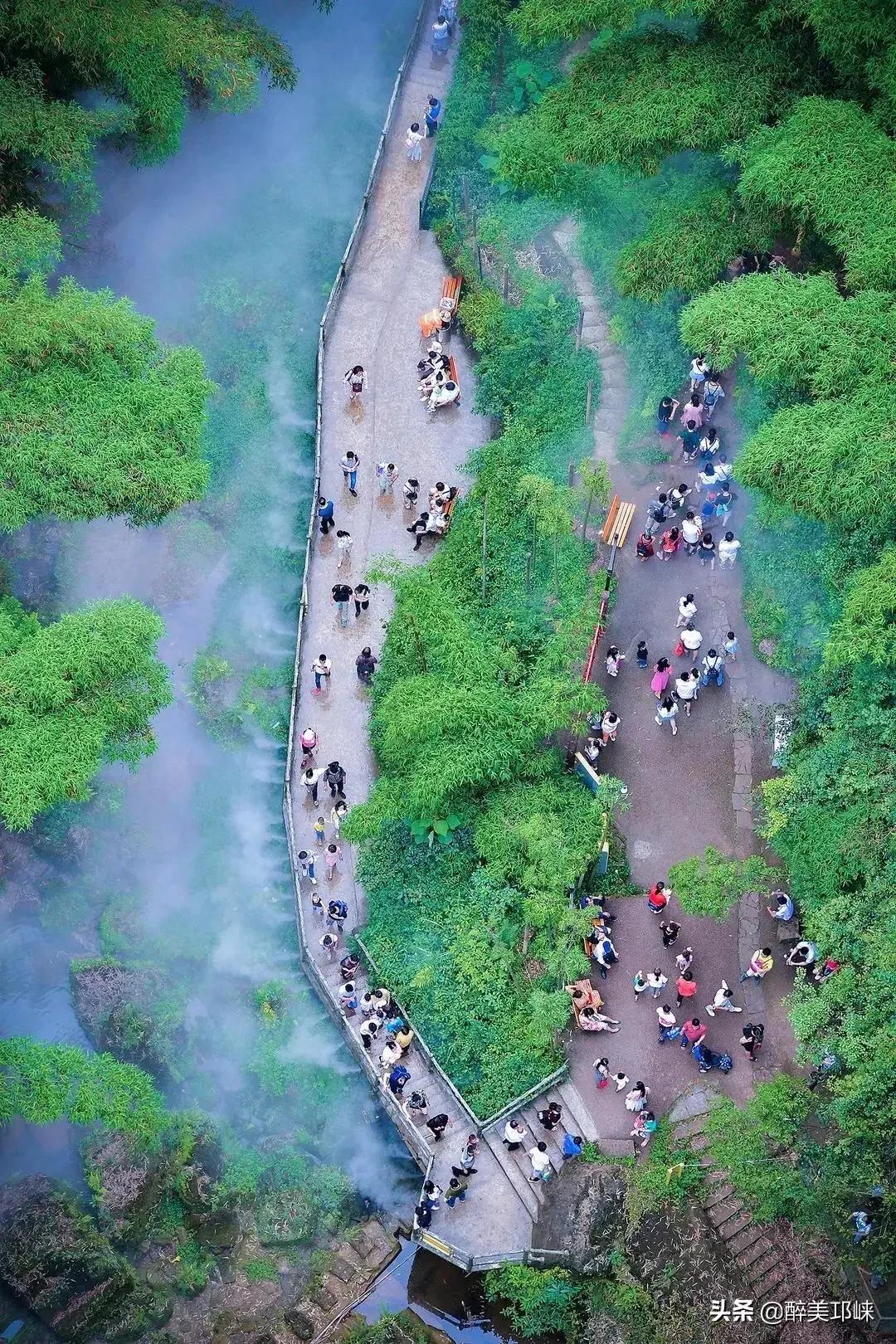 2024新澳门天天开好彩大全龙门客栈