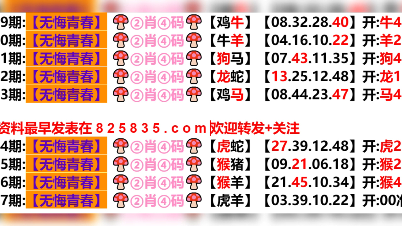  2024年新奥门王中王资料202449
